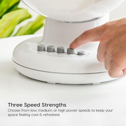 Small swing head circulating fan